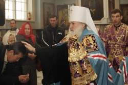 _MG_4955 - �����